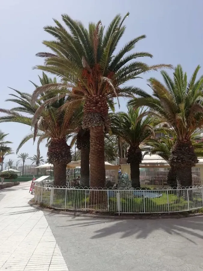 Los Cristianos Port Royale Apartment