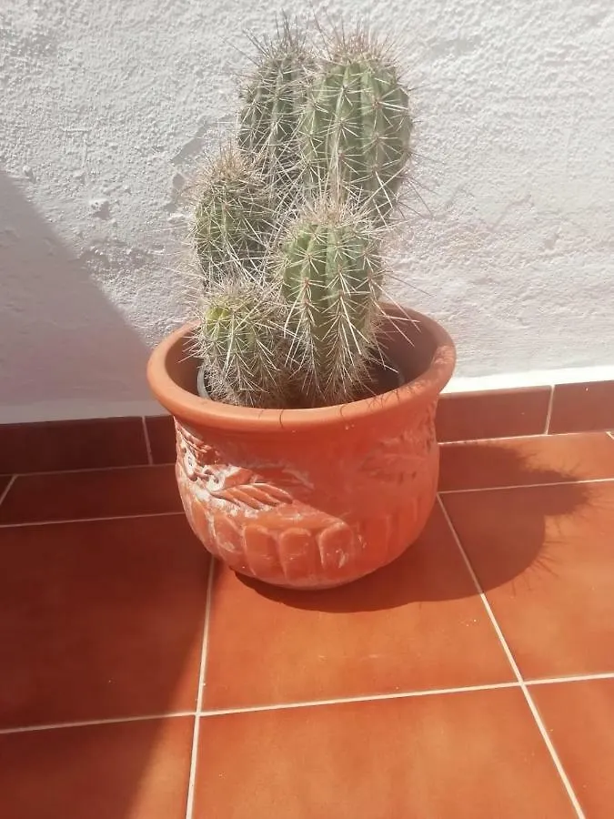 Los Cristianos Port Royale Apartment